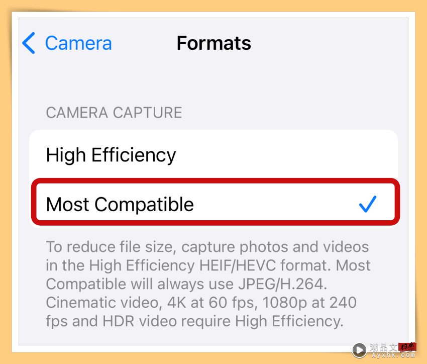 Tips I iPhone照片储存格式是HEIF！告诉你如何从HEIF格式储存为JPG档！ 更多热点 图5张